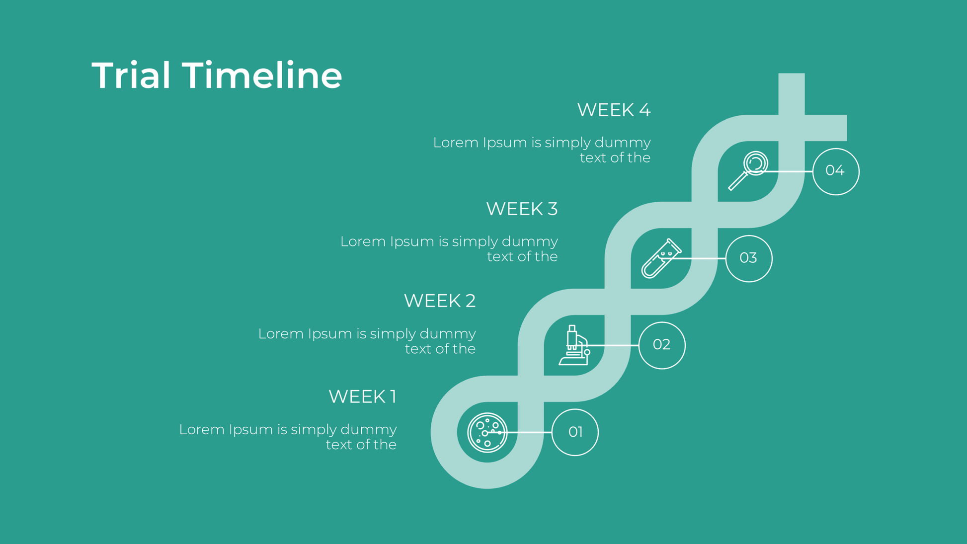 Hospital Presentation Template: Healthcare Facility & Department Slides - SlideIno